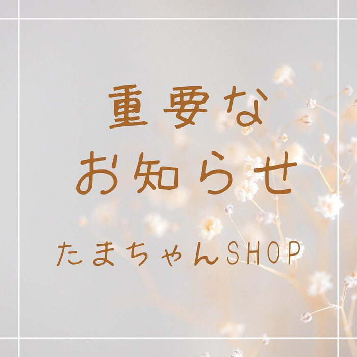画像240